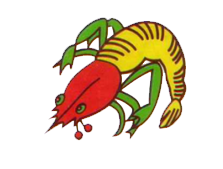 tôm